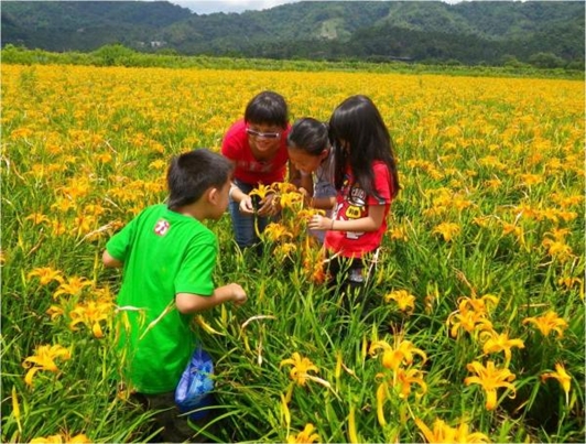 我追求的是在自己土地上，養活一家人