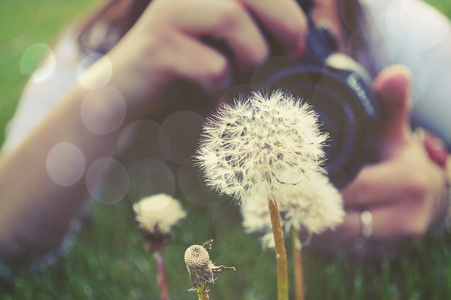 沒有天生「弱勢」的族群，只有各自不同的天賦