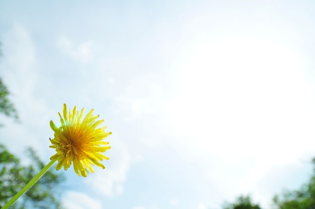 從小我到大我，她們那微小而深刻的事業