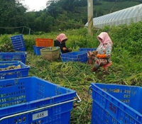 光原社會企業─原住民的成功  才是我們的成功