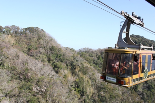 德川家康鍾愛的靜岡與富士山