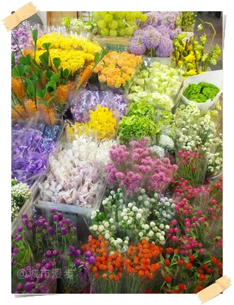 城市漫漫走>內湖&捷運劍南路站