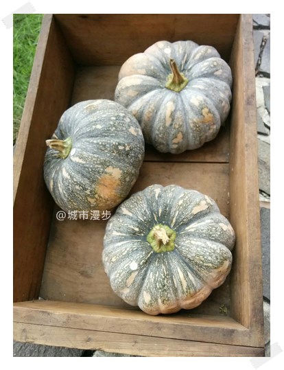 愛吃鬼看基改和食品安全