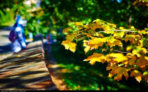 回甘的人生，那清心苦味