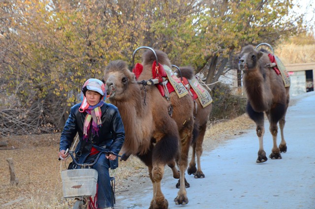旅行在希望與苦難之間