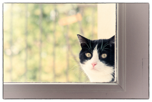 沒有答案，也是人生中的一種答案