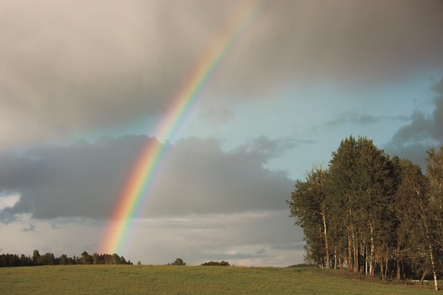 勾動心靈的旅行 在愛沙尼亞輕盈慢行