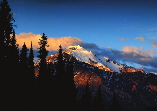專注，看見生活中的微小驚奇和感動
