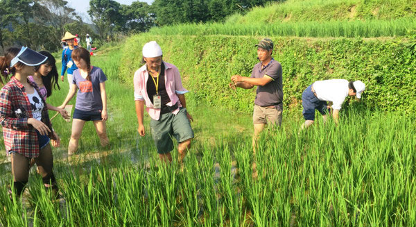 新北市友善旅行 發現更多樂趣