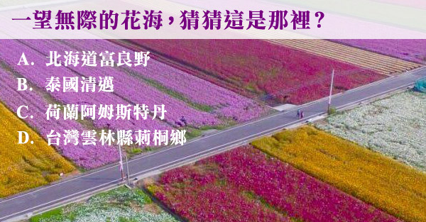 一望無際的花海，猜猜這是那裡？