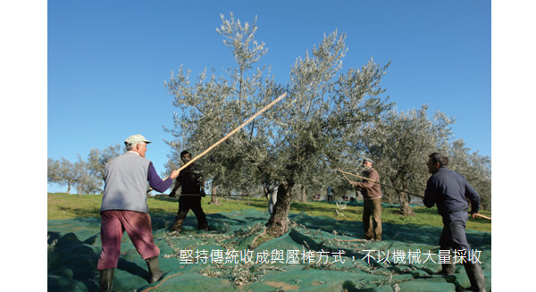 Oliviers & CO. 打造健康純淨生活 帶來地中海的綠色黃金