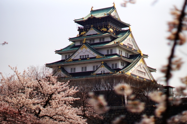 大阪賞櫻名所！櫻花百選之一的大阪城