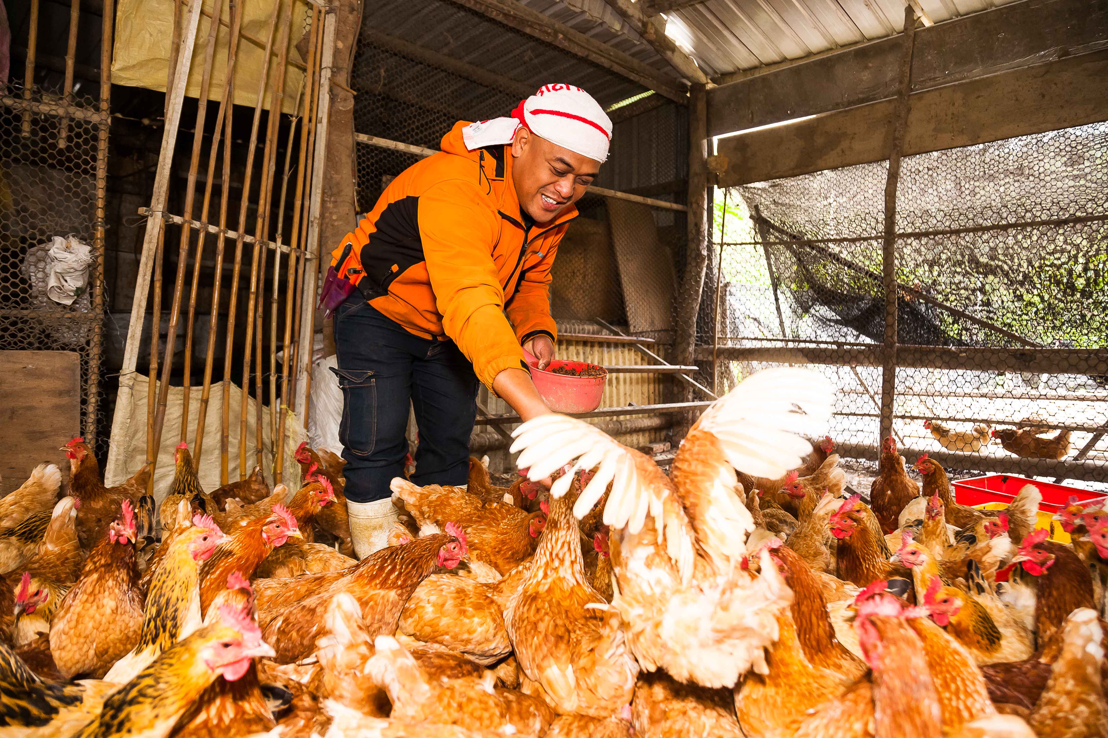 返鄉找回部落的記憶－塔堡  築建傳遞文化的生態農場