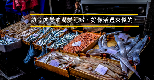 神奇的魚肉回春大法