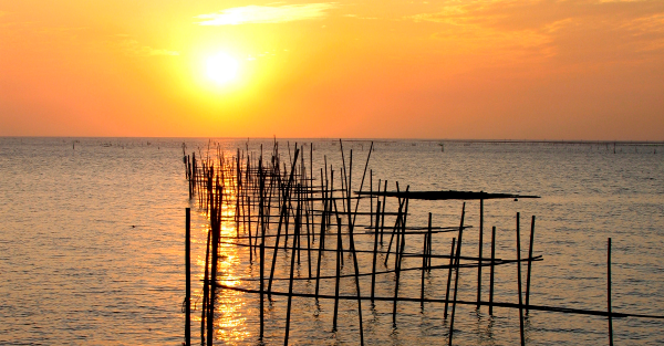 布袋觀光漁筏帶你遊