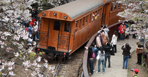 漫步在雲端的阿里山