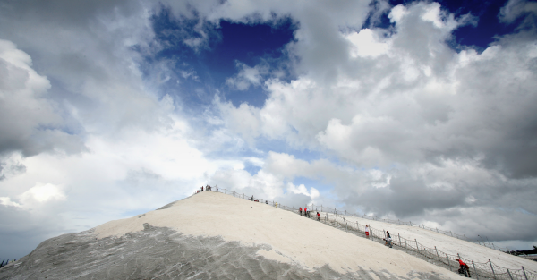 七股鹽田．四草生態巡遊