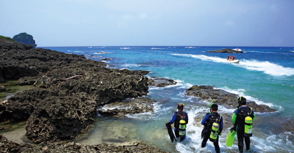 下一站溫暖南國度假去！