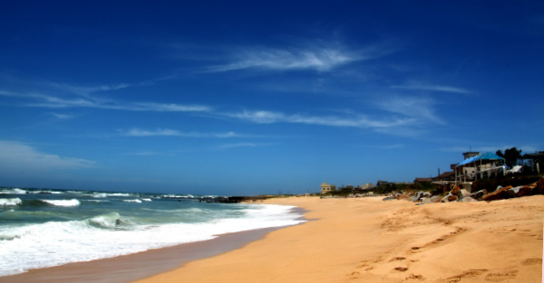 迷上菊島「尚天然」的純味