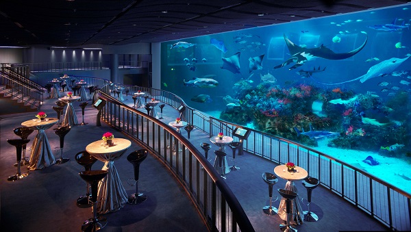 獨具匠新 《惠聚獅城》