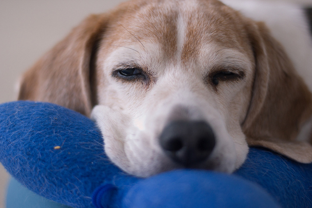 小心慢性疲勞症上身