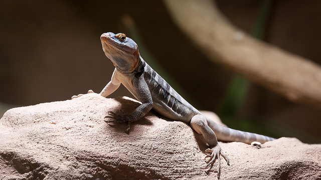 別教孩子「怕」