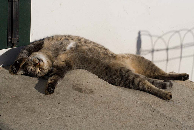 要健康，睡眠很重要