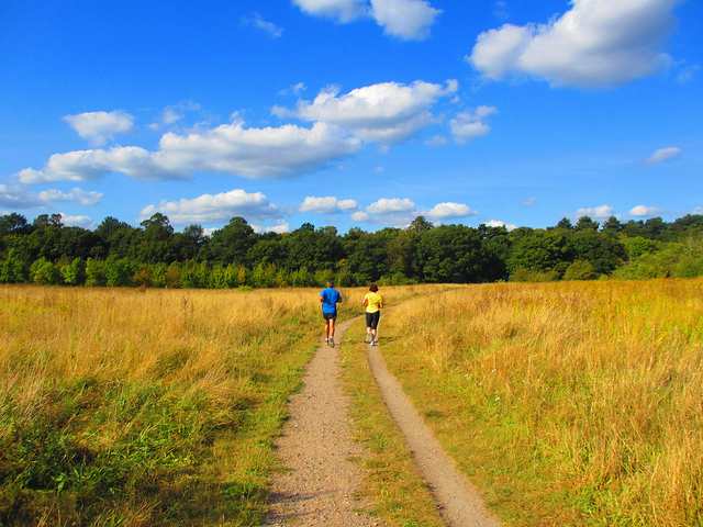 癌症存活者飲食指南