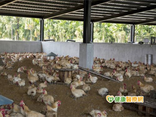 打造 RivaGreen 農場　堅持「零風險」食材