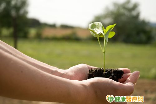 療傷止痛　十一原則陪伴你我他