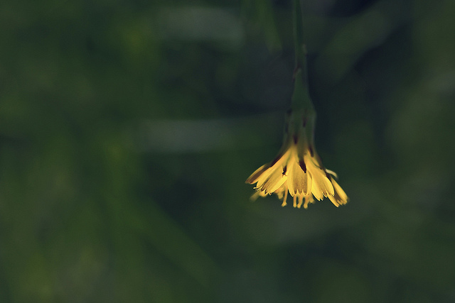 鍛鍊你的腦袋，成為「腦美人」