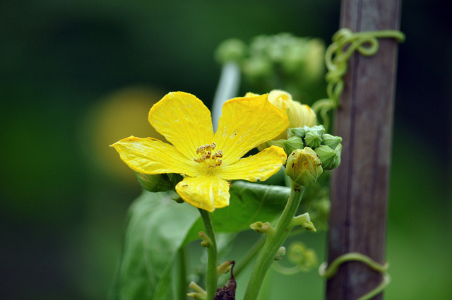 從今天開始，練習慢活、慢呼吸