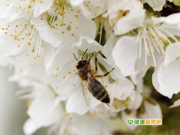 季節交替免疫力低下 感冒病毒伺機而動