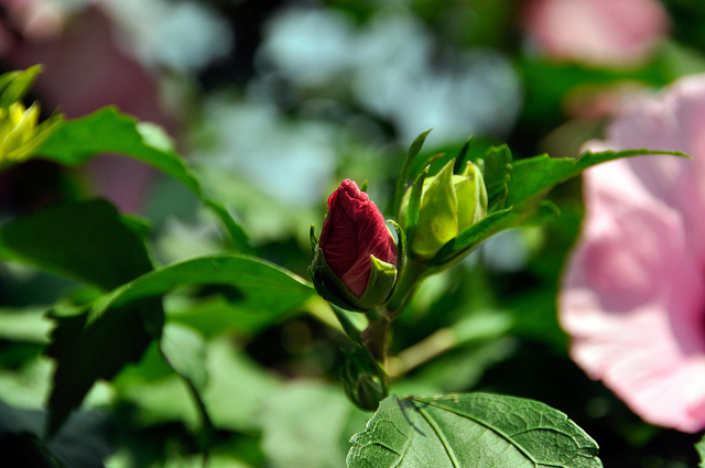 吃對食物，就不用看醫生