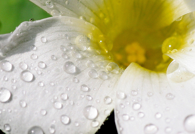 擁有健全精神，健康身體自然近在咫尺