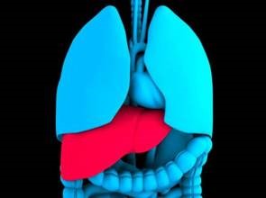 中醫師3步驟　消除脂肪肝