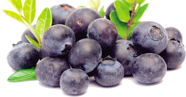 10種超級抗癌食材