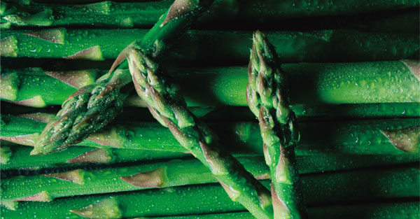 小心偏方的致命陷阱 