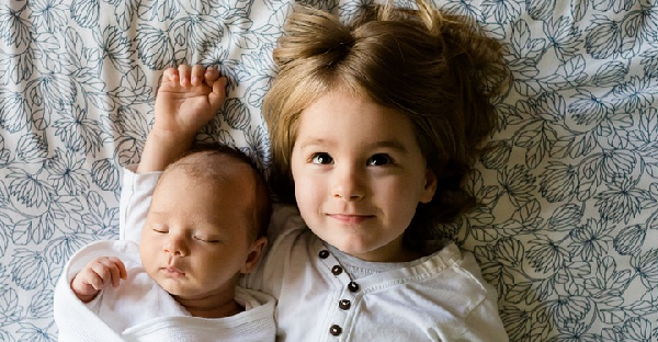 免疫系統運作首重「中庸之道」