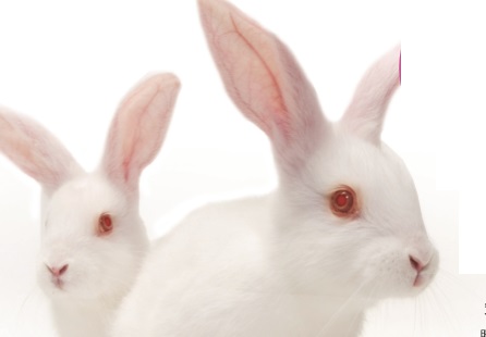 解讀眼睛紅腫癢 背後的疾病