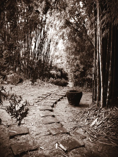 攝影，盲目一點好！