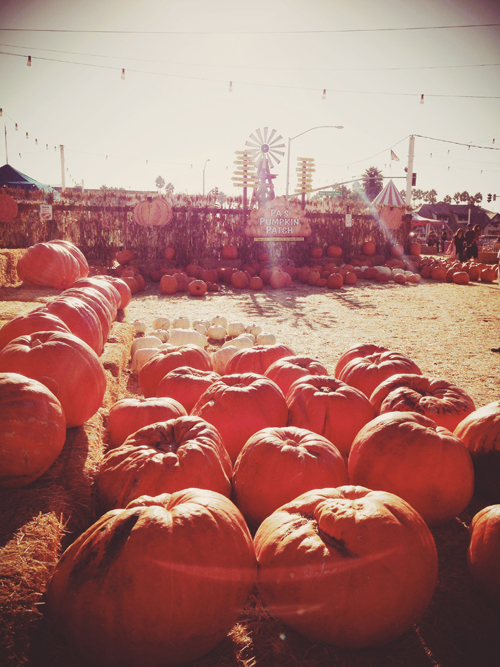 美國人的萬聖節好認真