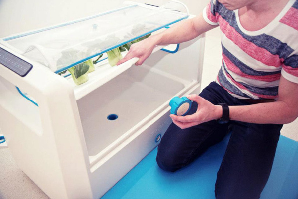 種菜不一定要土壤，跨世代的英倫設計！