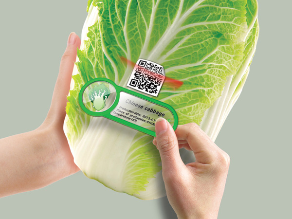 一眼明白！數位冰箱磁鐵