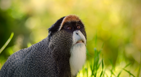 不景氣，造就＂輕鬆了事＂的草食男？！