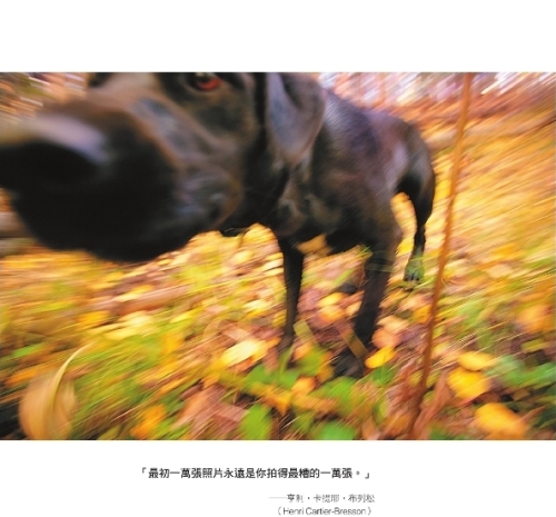 跟著直覺放手去拍吧！