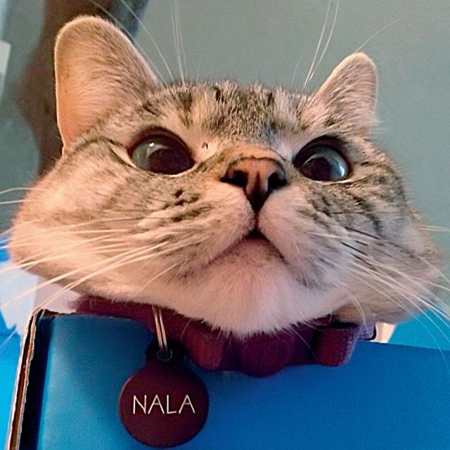 生活是自己的自助餐，別人憑什麼動筷子？