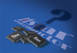 晨星誤入叢林嗎？