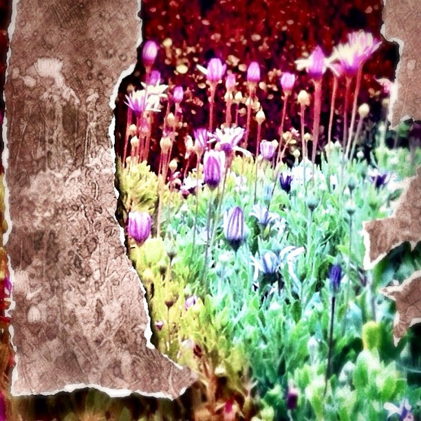 善終，是最美的祝福……