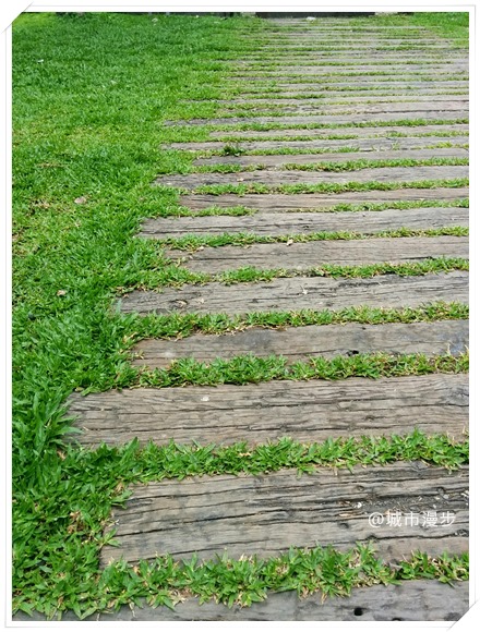 保持關心的政治